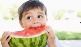 娱乐吃瓜小兔子小说,小兔子吃瓜记