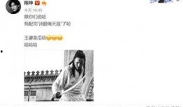 王婆娱乐圈吃瓜,揭秘明星幕后那些事儿