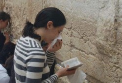 娱乐圈吃瓜的态度