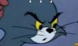 娱乐吃瓜酱鼠鼠,揭秘娱乐圈那些不为人知的幕后故事